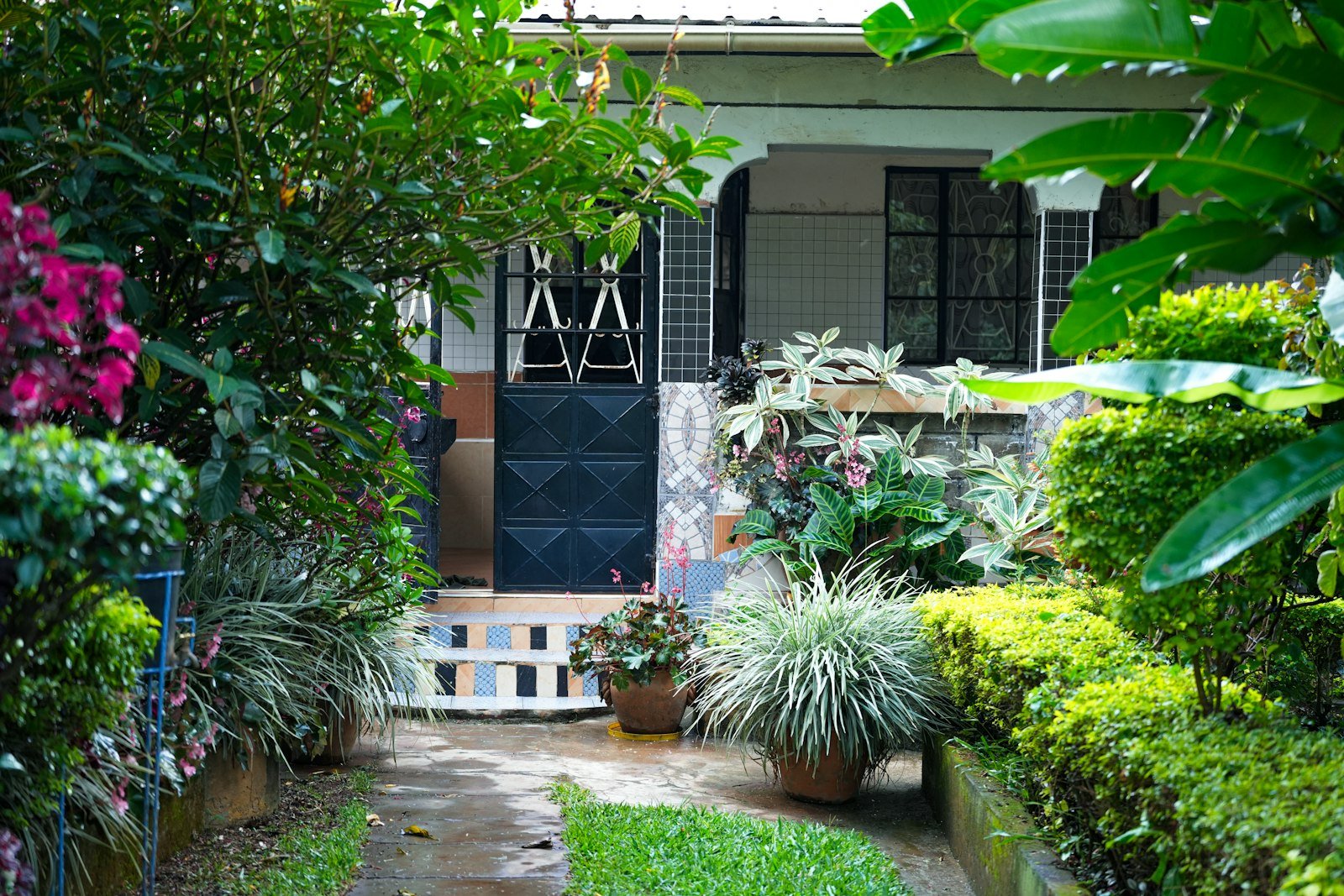 Jalan setapak taman dengan tanaman hias outdoor di depan rumah